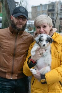 „Amber“ vados australų aviganių nuotrauka