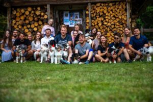 „Black“ vados australų aviganių nuotrauka
