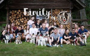 „Black“ vados australų aviganių nuotrauka
