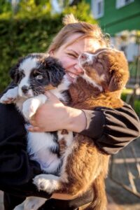 „Duplo“ vados australų aviganių nuotrauka