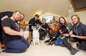„Lucky Six“ vados australų aviganių nuotrauka