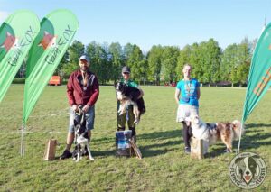 „Lucky Six“ vados australų aviganių nuotrauka