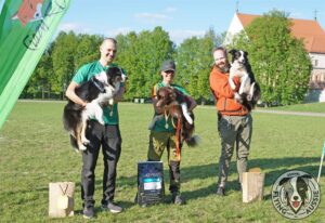 „Lucky Six“ vados australų aviganių nuotrauka