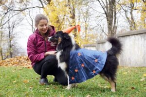 „Lucky Six“ vados australų aviganių nuotrauka