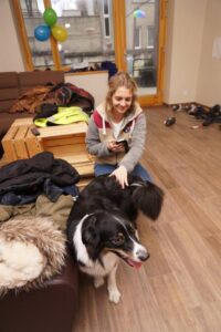 „Lucky Six“ vados australų aviganių nuotrauka