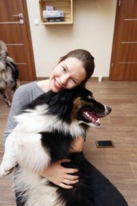 „Lucky Six“ vados australų aviganių nuotrauka