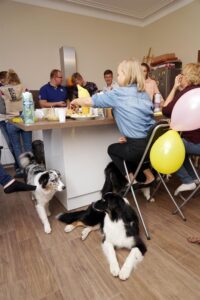 „Lucky Six“ vados australų aviganių nuotrauka