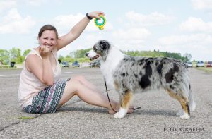 Aurelija su australų aviganiu parodoje